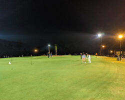 Palmetto-Traverse-Night-1