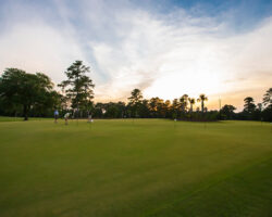 Palmetto-Traverse-Putting-Course
